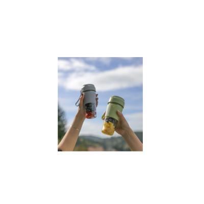 Mixeur portable LIVOO DOP248G - 300 ml - 40 W - 6 lames inox