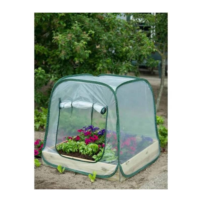 Serre de jardin Pop-Up NATURE 100x100x100 cm PE transparent ?