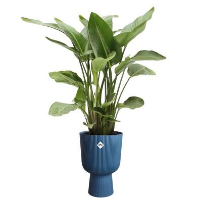 Pot de fleur Elho Vibes Fold Coupe Bleu - 100% recyclé