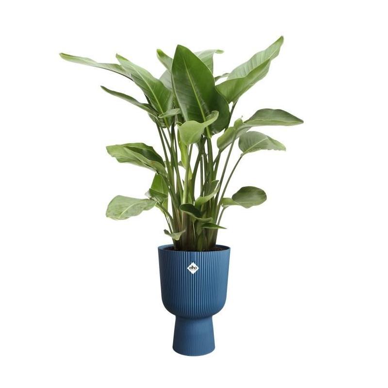 Pot de fleur Elho Vibes Fold Coupe Bleu - 100% recyclé