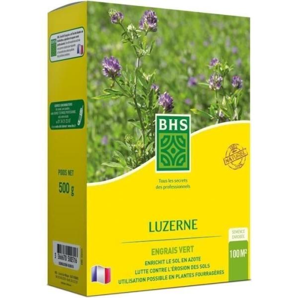 Luzerne - BHS - 500g | 100 m² | Améliore le sol, résiste au froid et a la sécheresse, riche en protéines, minéraux et vita