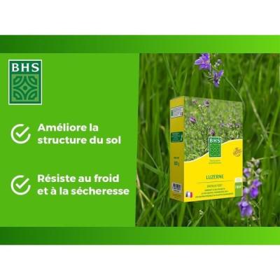 Améliorez votre sol avec Luzerne BHS - 500g | Gazon Naturel