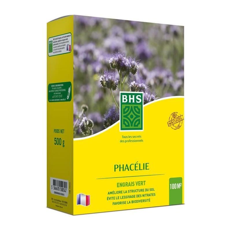 Phacélie BHS 500g | 100 m² | Gazon naturel résistant à la sécheresse