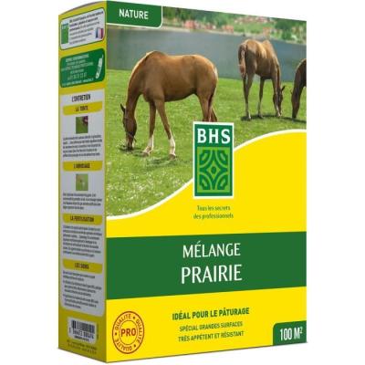 Gazon naturel BHS – Mélange Prairie 1kg | Installation rapide et sans entretien
