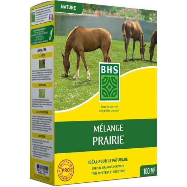 Gazon - BHS - Mélange Prairie 1kg | 40m² | Pour zones extensives et pâturage | Installation rapide, résistant, sans entretie