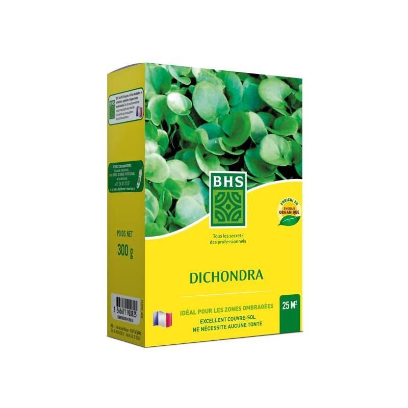 Dichondra - BHS - 300g | Gazon Naturel de Qualité