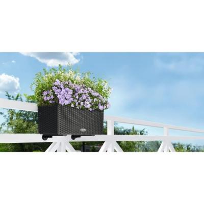 Lechuza Balconera Cottage 50 Kit Complet Granit - Jardinière élégante pour votre balcon