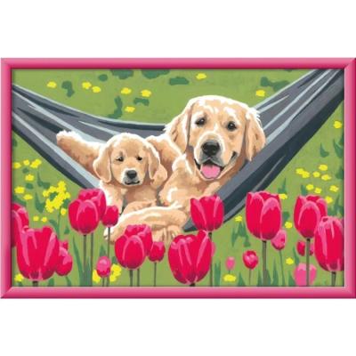 Kit de peinture par numéros Ravensburger - Labrador et tulipes 