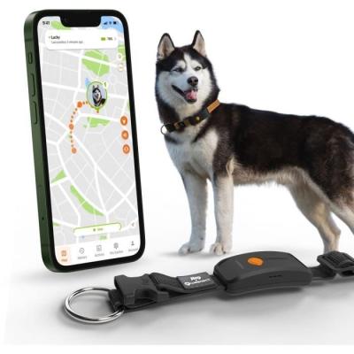 Collier GPS pour chien WEENECT Chien XT - Suivi précis - Robuste et étanche