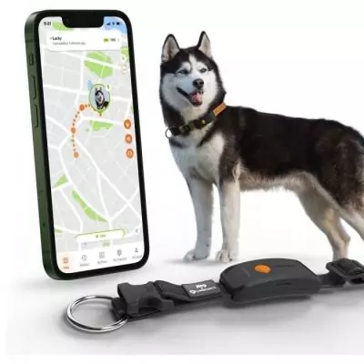 Collier GPS pour chien WEENECT Chien XT - Suivi précis - Robuste et étanche Collier GPS pour chien WEENECT Chien XT - Suivi précis - Robuste et étanche