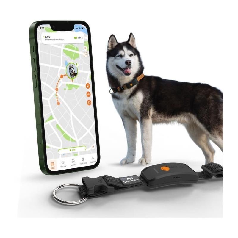 Collier GPS pour chien WEENECT Chien XT - Suivi précis - Robuste et étanche