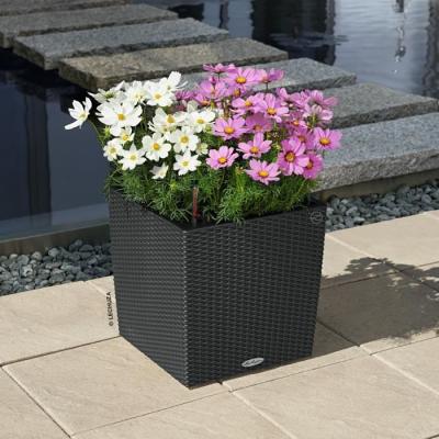 Jardiniere - Cube cottage 40 - Kit complet - Granit - 31 L - LECHUZA