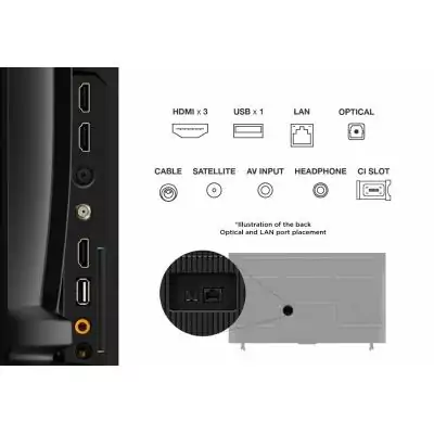 TCL PF650 55PF650 TV 139,7 cm (55") 4K Ultra HD Smart TV Wifi Titane