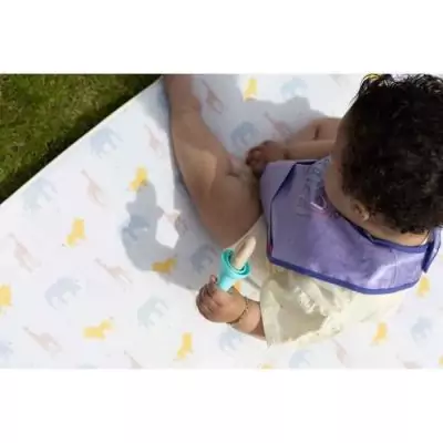 Moules à glace NUBY Fruitsicles - 4 bâtonnets