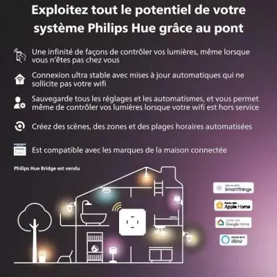 Fixez votre caméra Philips Hue en toute sécurité avec notre piquet au sol !