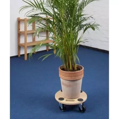 Plateau roulant MEISTER Ø 350mm 150kg - Rouleur efficace