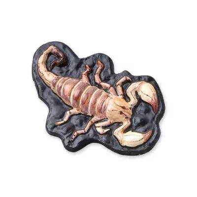 SES Creative Moulage et peinture - Animaux effrayants