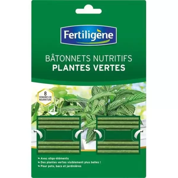 Bâtonnets nutritifs x 40 - FERTILIGENE - Nutrition plantes vertes - FBPV