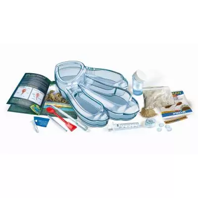 Clementoni Triops, les animaux préhistoriques