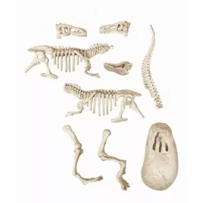 Clementoni Archéo Ludic - Vélociraptor