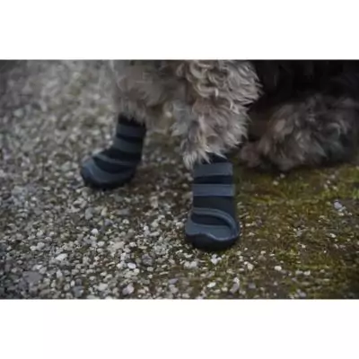 Chaussures pour chien KERBL - Protégez ses pattes en toute activité