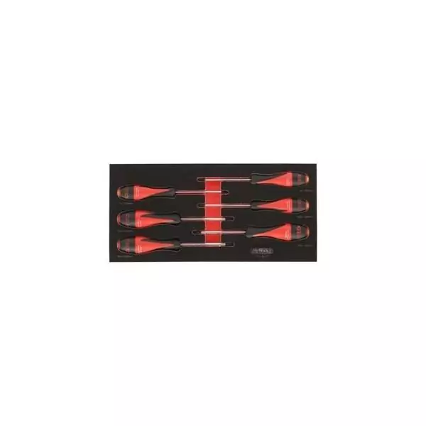 Module - KS TOOLS - 713.5013 - Module de tournevis Ultimate Torx - 6 pieces - Pour servantes et établis