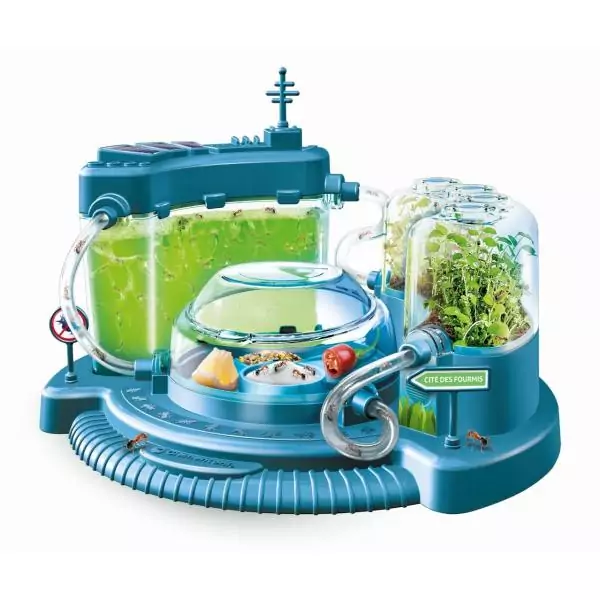 Clementoni - Sciences et Jeu - La cité des fourmis - Observatoire de fourmies - Fabriqué en Italie