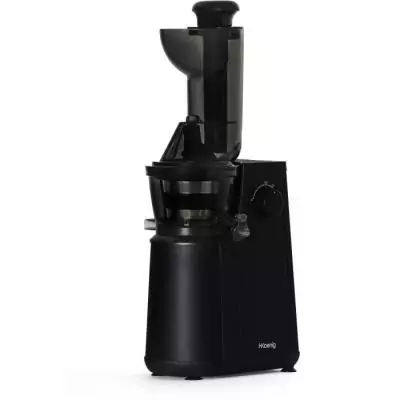 Obtenez des jus sains avec l'extracteur de jus extra lent HKoeNIG - GSX24