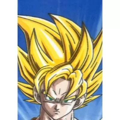 Plaid DRAGON BALL Z - 100 x 140 cm Plaid DRAGON BALL Z - 100 x 140 cm