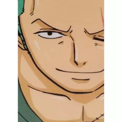 Coussin 3D Roronoa Zoro - Microfibre - 40 cm
