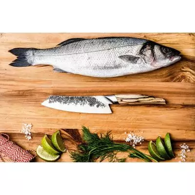 Couteau Santoku - FORGED - KATAI - Acier VG10 - Manche en bois de racine - L 18 cm