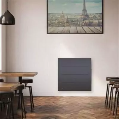 AIRELEC ADEOS modele Horizontal 1250 Watts - Radiateur électrique Chaleur Douce - Coloris gris anthracite - Origine France Gara