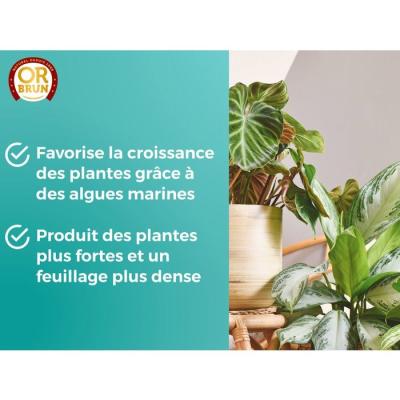 Engrais plantes vertes - OR BRUN - OBRECLPLINTER250 - 250 ml - Favorise la croissance - Fabriqué en France