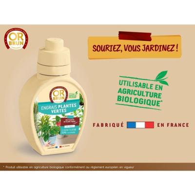 Engrais plantes vertes - OR BRUN - OBRECLPLINTER250 - 250 ml - Favorise la croissance - Fabriqué en France