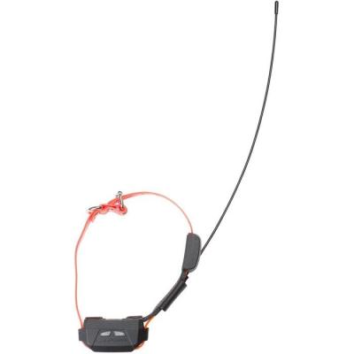 Collier de localisation - NUM'AXES - CANICOM GPS Mini - Avec fonction dressage - Orange