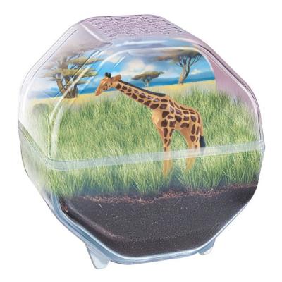 CLEMENTONI - Mini Terrarium - Girafe