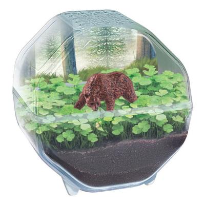 CLEMENTONI - Mini Terrarium - Ours