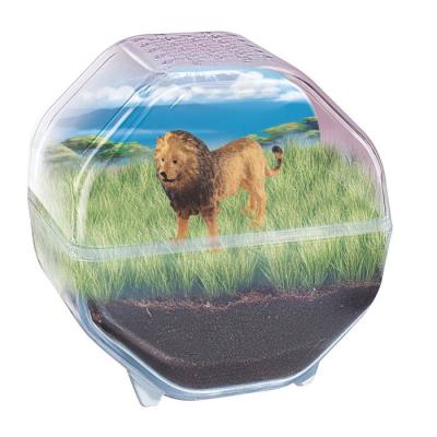 CLEMENTONI - Mini Terrarium - Lion